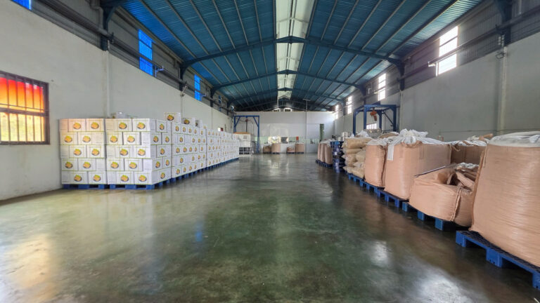 Cách Nhận Biết Hạt Điều Việt Và Nước Ngoài