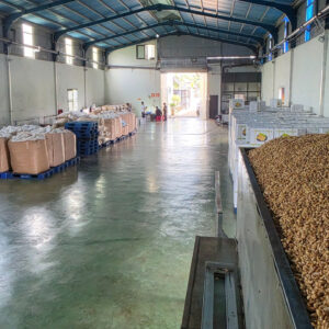 Ăn hạt điều rang muối có tốt không?