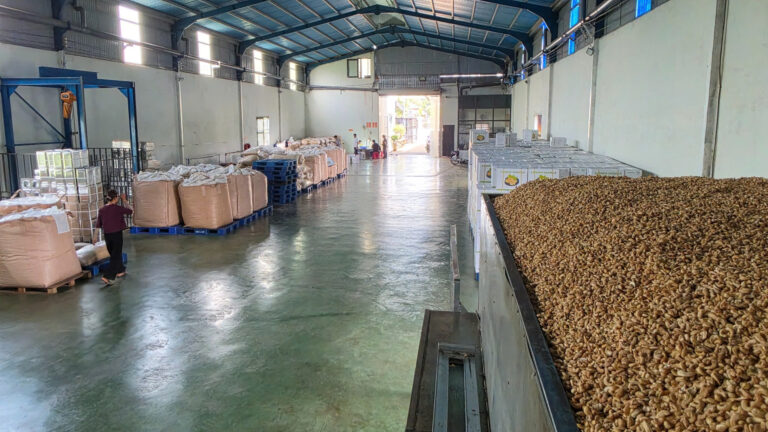 Ăn hạt điều rang muối có tốt không?